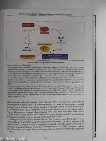 Klinikai neuroimmunológia