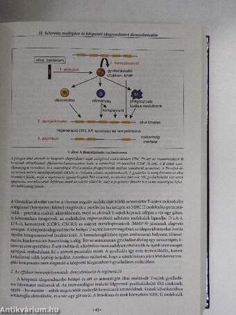 Klinikai neuroimmunológia