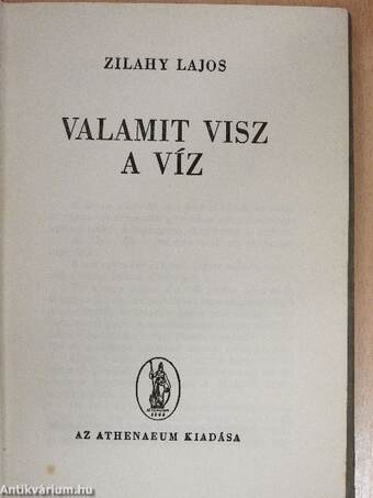 Valamit visz a víz