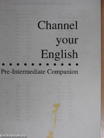 Channel your English - Pre-Intermediate Companion