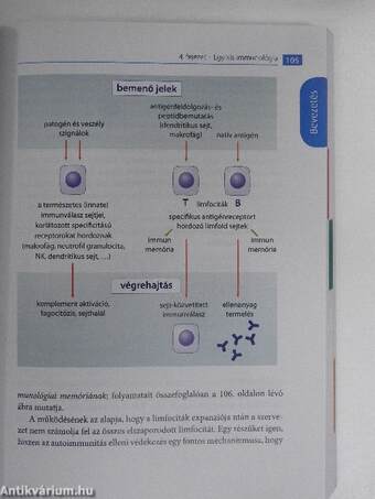 Védőoltásokról a tények alapján