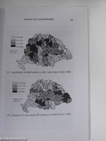 A Központi Statisztikai Hivatal Népességtudományi Kutatóintézetének 2004. évi történeti demográfiai évkönyve