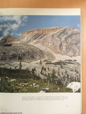 Wunderwelt der Dolomiten