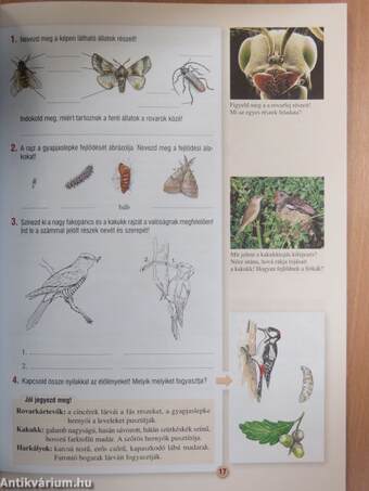 Környezetünk titkai 4/I.