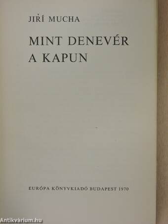 Mint denevér a kapun