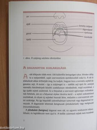 Amit az ajak- és szájüregi daganatokról tudni kell