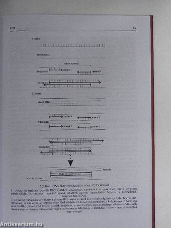 Molekuláris genetikai módszerek alkalmazása az állattenyésztésben