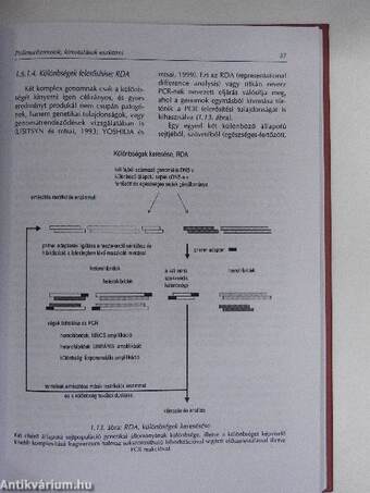 Molekuláris genetikai módszerek alkalmazása az állattenyésztésben