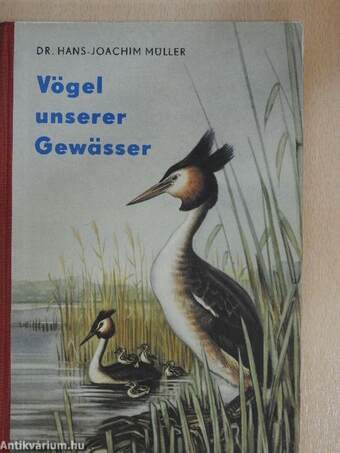 Die Vögel unserer Gewässer