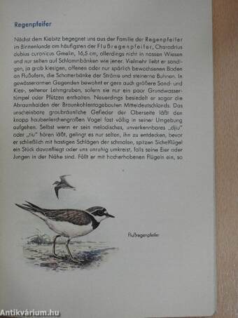 Die Vögel unserer Gewässer