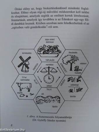 Biozöldségek termesztése