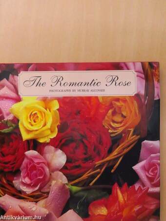 The Romantic Rose