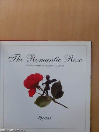 The Romantic Rose