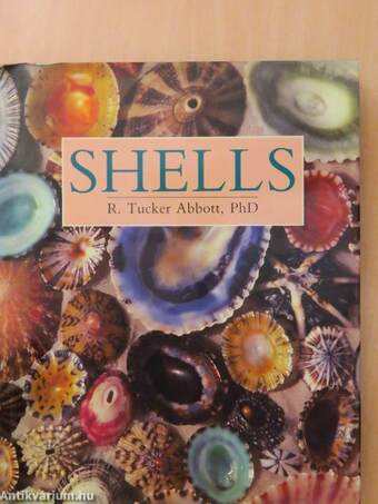 Shells