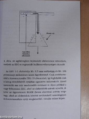 Csecsemő és gyermekkori alvászavarok