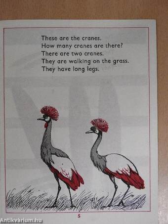 A story about the crow and the cranes and the cranes' feathers