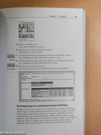 Microsoft Excel for Windows 95