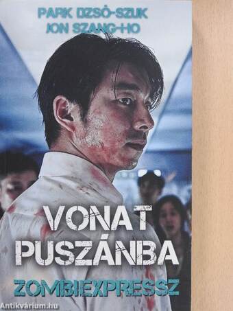 Vonat Puszánba