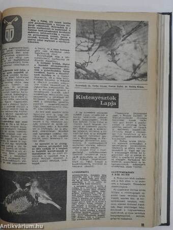 Kertészet és Szőlészet 1985. (nem teljes évfolyam)/Kertbarát Magazin 1985-1986. alkalmi számok