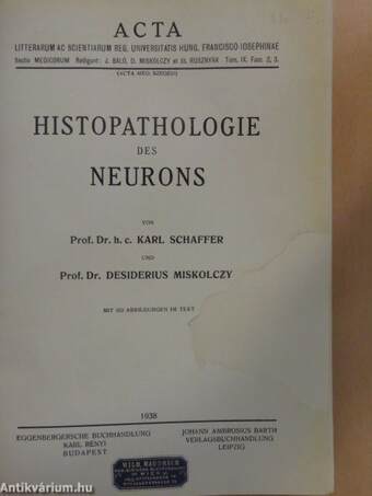 Histopathologie des Neurons