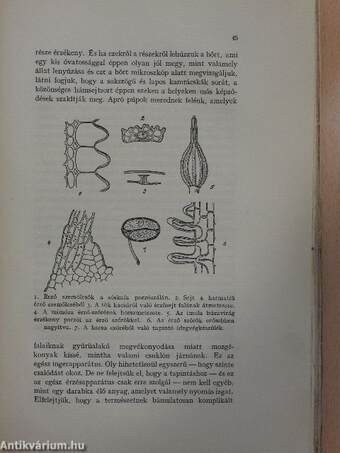 A növények érzéki és szerelmi élete/A darwinizmus mai állása