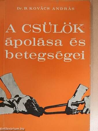 A csülök ápolása és betegségei