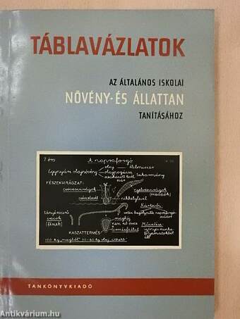 Táblavázlatok