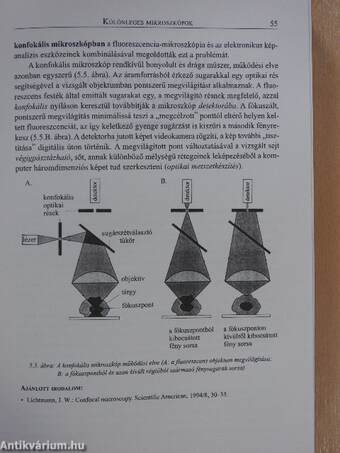 Molekuláris sejtbiológia