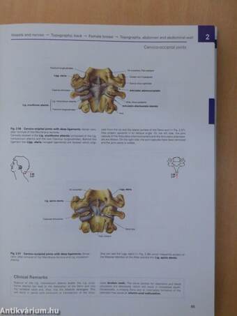 Sobotta - Atlas of Human Anatomy I-III.