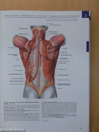 Sobotta - Atlas of Human Anatomy I-III.