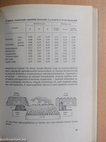 Használjuk ki jobban öntöző berendezéseinket