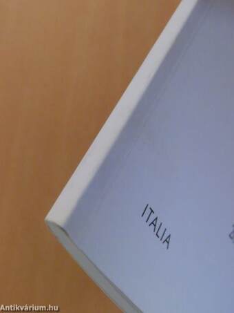 Television across Europe: Follow-up Reports 2008 Italy/La televisione in Europa: Rapporto di aggiornamento 2008 Italia