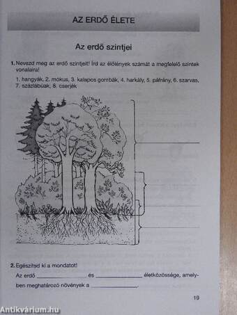 Környezetismeret munkafüzet