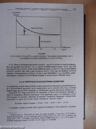 Modern vállalati pénzügyek - CD-vel