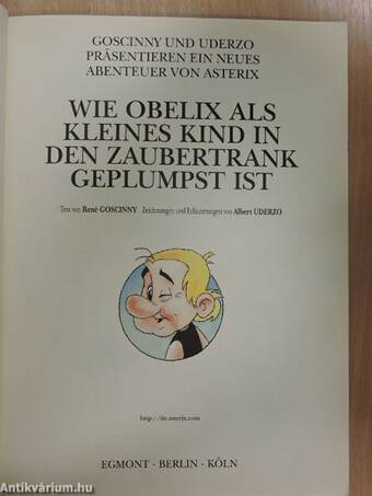 Wie Obelix als kleines kind in den zaubertrank geplumpst ist