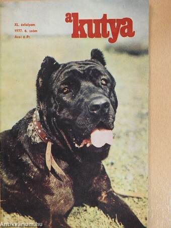 A Kutya 1977/6.