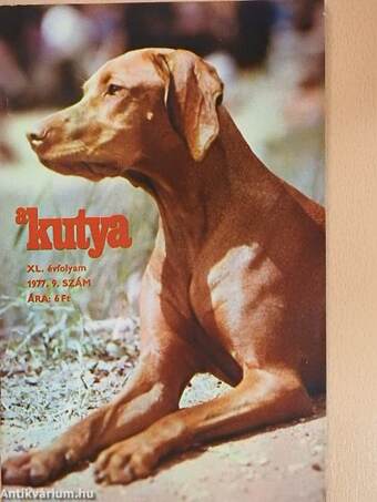 A Kutya 1977/9.