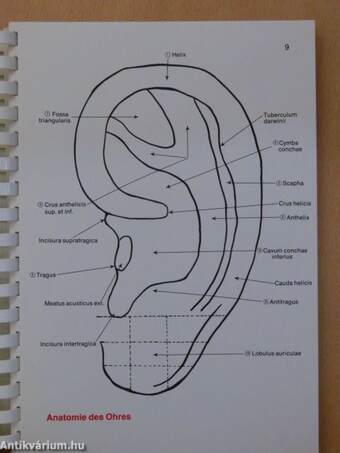 Consilium Cedip Acupuncturae