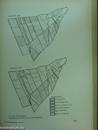 Mezőgazdasági üzemtan