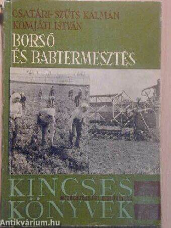 Borsó- és babtermesztés