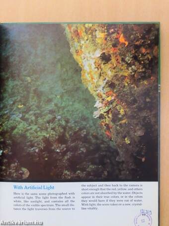 Window in the sea