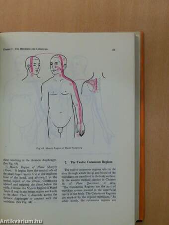 Chinese Acupuncture and Moxibustion