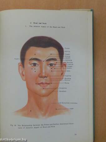 Anatomical Atlas of Chinese Acupuncture Points