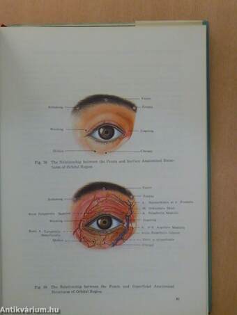 Anatomical Atlas of Chinese Acupuncture Points