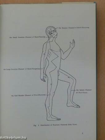 Anatomical Atlas of Chinese Acupuncture Points