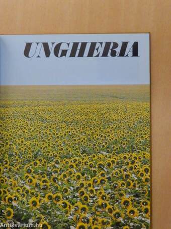 Ungheria