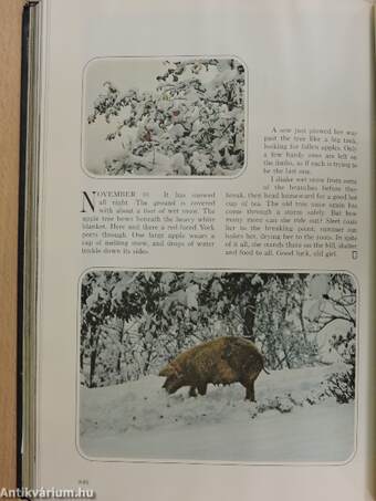 National Geographic 1972. I-II. (nem teljes évfolyam)