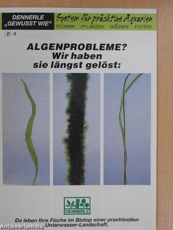 Algenprobleme? Wir haben sie längst gelöst: