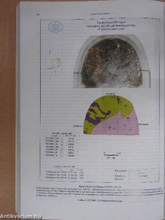 A Magyar Állami Földtani Intézet Évi Jelentése 2009