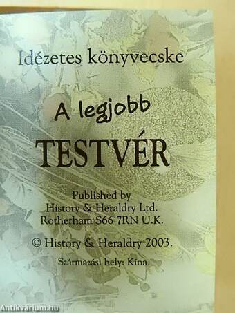 A legjobb testvér (minikönyv)